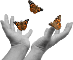 Butterfly Hands